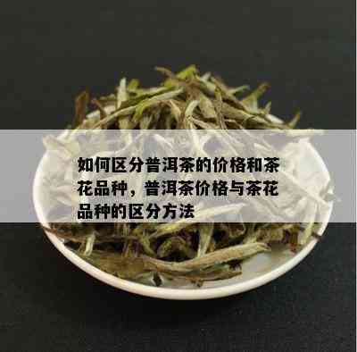 如何区分普洱茶的价格和茶花品种，普洱茶价格与茶花品种的区分方法