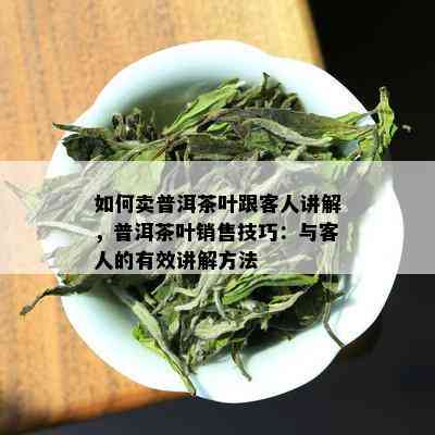 如何卖普洱茶叶跟客人讲解，普洱茶叶销售技巧：与客人的有效讲解方法