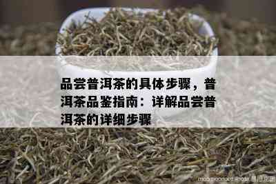 品尝普洱茶的具体步骤，普洱茶品鉴指南：详解品尝普洱茶的详细步骤