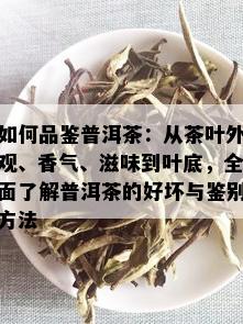 如何品鉴普洱茶：从茶叶外观、香气、滋味到叶底，全面了解普洱茶的好坏与鉴别方法