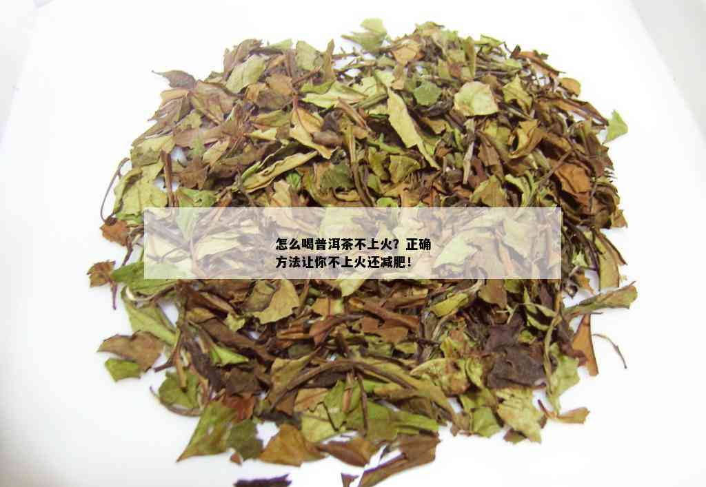 怎么喝普洱茶不上火？正确方法让你不上火还减肥！