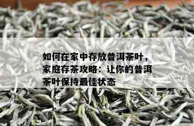 如何在家中存放普洱茶叶，家庭存茶攻略：让你的普洱茶叶保持更佳状态