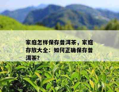 家庭怎样保存普洱茶，家庭存放大全：如何正确保存普洱茶？