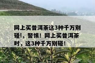 网上买普洱茶这3种千万别碰!，警惕！网上买普洱茶时，这3种千万别碰！