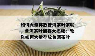 如何大量存放普洱茶叶茶呢，普洱茶叶储存大揭秘：教你如何大量存放普洱茶叶