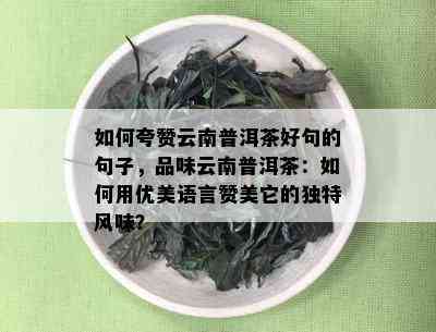 如何夸赞云南普洱茶好句的句子，品味云南普洱茶：如何用优美语言赞美它的独特风味？