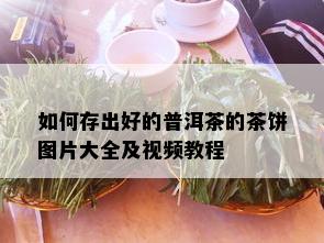 如何存出好的普洱茶的茶饼图片大全及视频教程