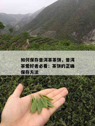 如何保存普洱茶茶饼，普洱茶爱好者必看：茶饼的正确保存方法