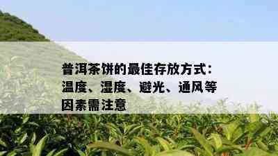 普洱茶饼的更佳存放方式：温度、湿度、避光、通风等因素需注意