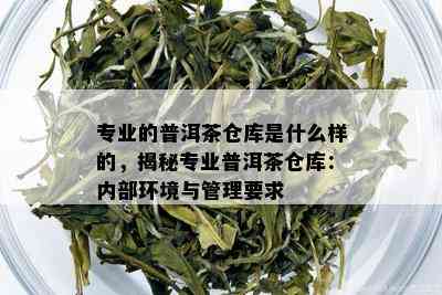 专业的普洱茶仓库是什么样的，揭秘专业普洱茶仓库：内部环境与管理要求