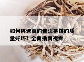 如何挑选真的普洱茶饼的质量好坏？全面指南视频