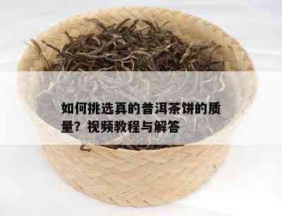 如何挑选真的普洱茶饼的质量？视频教程与解答