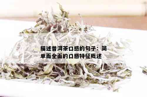 描述普洱茶口感的句子：简单而全面的口感特征概述