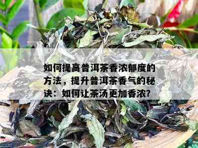 如何提高普洱茶香浓郁度的方法，提升普洱茶香气的秘诀：如何让茶汤更加香浓？