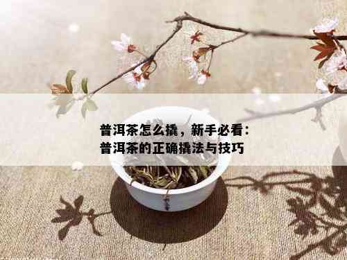 普洱茶怎么撬，新手必看：普洱茶的正确撬法与技巧