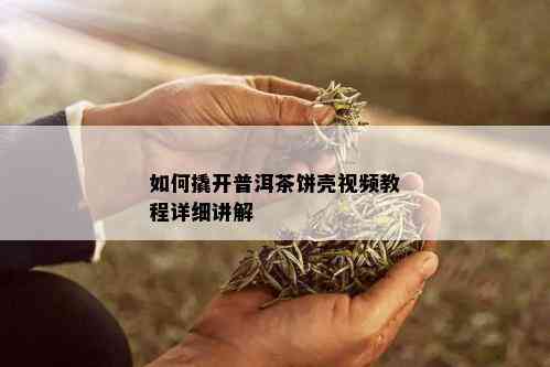 如何撬开普洱茶饼壳视频教程详细讲解