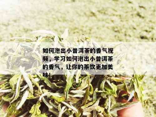 如何泡出小普洱茶的香气视频，学习如何泡出小普洱茶的香气，让你的茶饮更加美味！