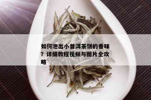 如何泡出小普洱茶饼的香味？详细教程视频与图片全攻略