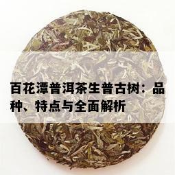 百花潭普洱茶生普古树：品种、特点与全面解析