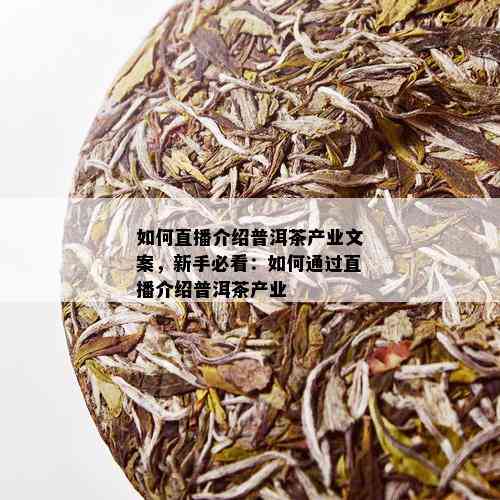 如何直播介绍普洱茶产业文案，新手必看：如何通过直播介绍普洱茶产业