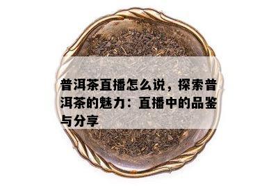 普洱茶直播怎么说，探索普洱茶的魅力：直播中的品鉴与分享