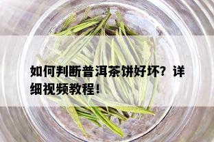 如何判断普洱茶饼好坏？详细视频教程！