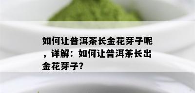 如何让普洱茶长金花芽子呢，详解：如何让普洱茶长出金花芽子？