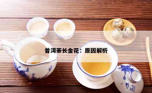 普洱茶长金花：原因解析