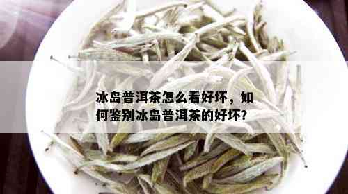 冰岛普洱茶怎么看好坏，如何鉴别冰岛普洱茶的好坏？