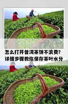 怎么打开普洱茶饼不浪费？详细步骤教你保存茶叶水分