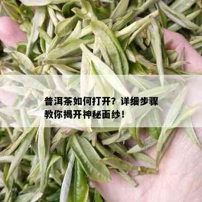 普洱茶如何打开？详细步骤教你揭开神秘面纱！