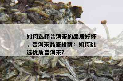 如何选择普洱茶的品质好坏，普洱茶品鉴指南：如何挑选优质普洱茶？