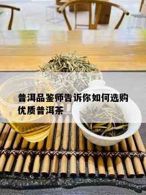 普洱品鉴师告诉你如何选购优质普洱茶