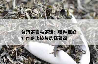 普洱茶膏与茶饼：哪种更好？口感比较与选择建议