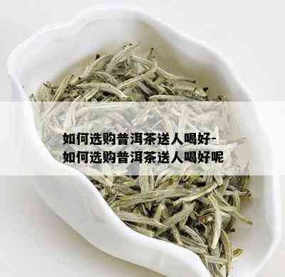 如何选购普洱茶送人喝好-如何选购普洱茶送人喝好呢