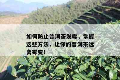 如何防止普洱茶发霉，掌握这些方法，让你的普洱茶远离霉变！