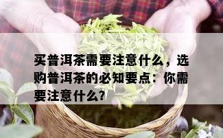 买普洱茶需要注意什么，选购普洱茶的必知要点：你需要注意什么？