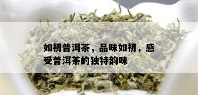 如初普洱茶，品味如初，感受普洱茶的独特韵味