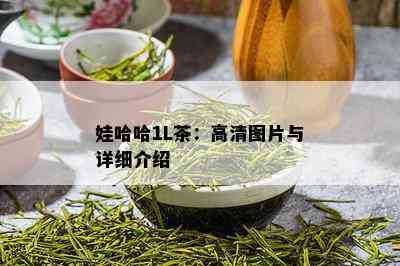 娃哈哈1L茶：高清图片与详细介绍