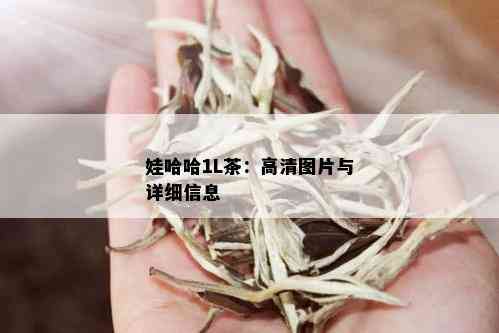 娃哈哈1L茶：高清图片与详细信息