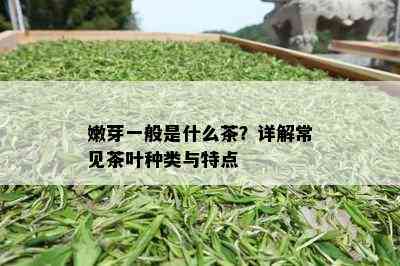 嫩芽一般是什么茶？详解常见茶叶种类与特点