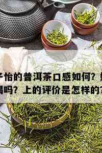 子怡的普洱茶口感如何？好喝吗？上的评价是怎样的？