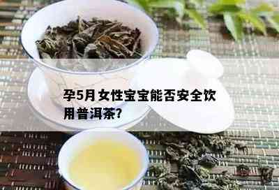 孕5月女性宝宝能否安全饮用普洱茶？