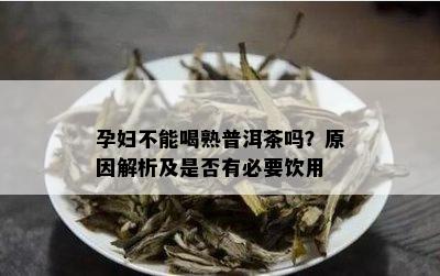 孕妇不能喝熟普洱茶吗？原因解析及是否有必要饮用