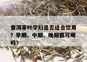 普洱茶叶孕妇是否适合饮用？早期、中期、晚期都可喝吗？