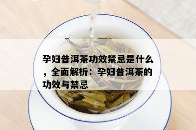 孕妇普洱茶功效禁忌是什么，全面解析：孕妇普洱茶的功效与禁忌