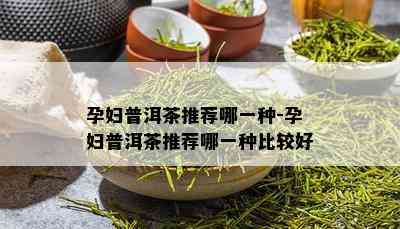 孕妇普洱茶推荐哪一种-孕妇普洱茶推荐哪一种比较好