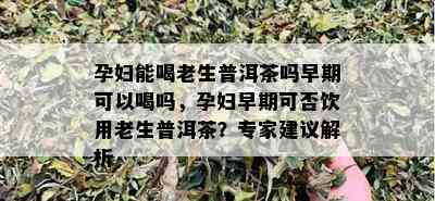 孕妇能喝老生普洱茶吗早期可以喝吗，孕妇早期可否饮用老生普洱茶？专家建议解析