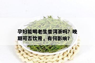 孕妇能喝老生普洱茶吗？晚期可否饮用，有何影响？