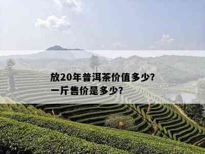 放20年普洱茶价值多少？一斤售价是多少？